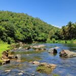 Travel Destinations, Latest travel Update, Air travel news, Travel Destinations 2026, Travel trends USA, Digital nomad visa countries, Top travel technology, Visa-free travel updates, Safe travel tips 2026, Tourism recovery news, New e-visa countries 2026, air travel news, travel news today, USA travel news